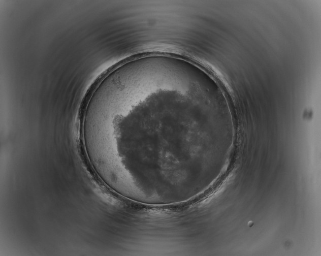 X0000100501125200806201709