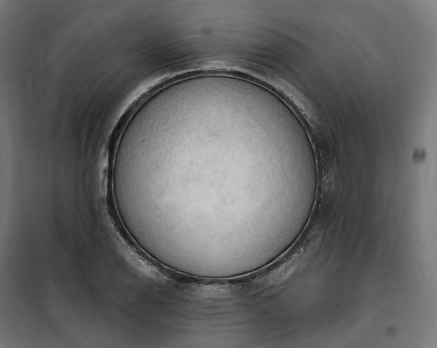 X0000100501126200806201709