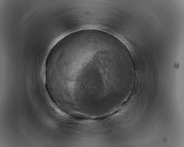 X0000100501127200806201709