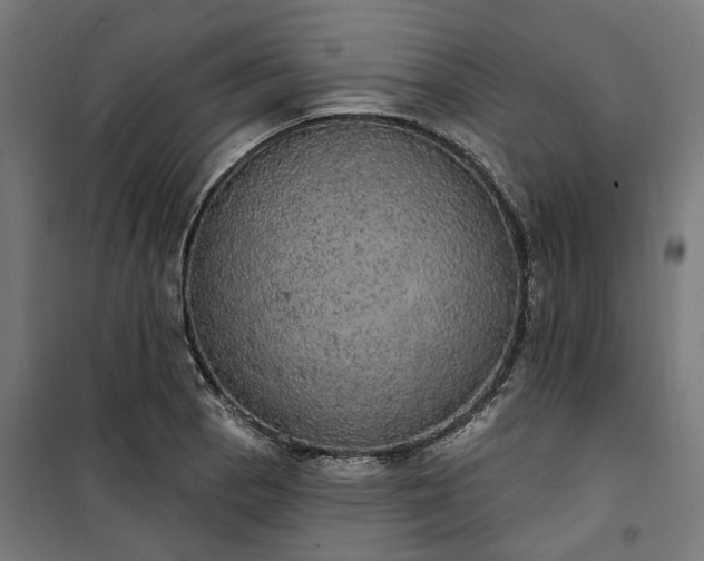 X0000100501129200806201709