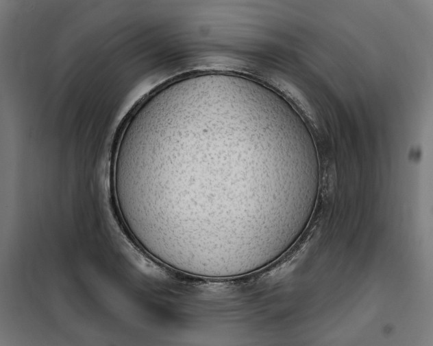 X0000100501130200806201709