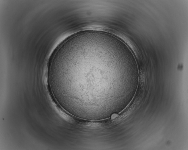 X0000100501131200806201709