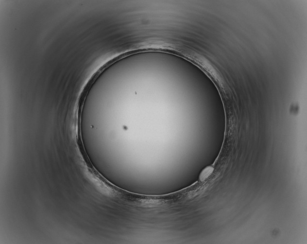 X0000100501132200806201709