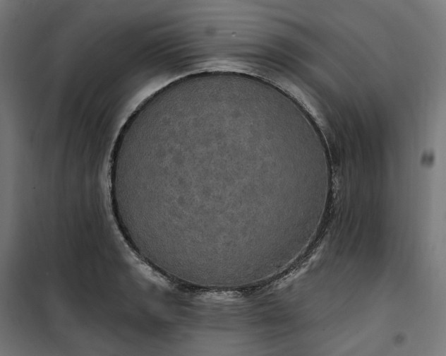 X0000100501133200806201709