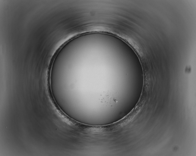 X0000100501134200806201709