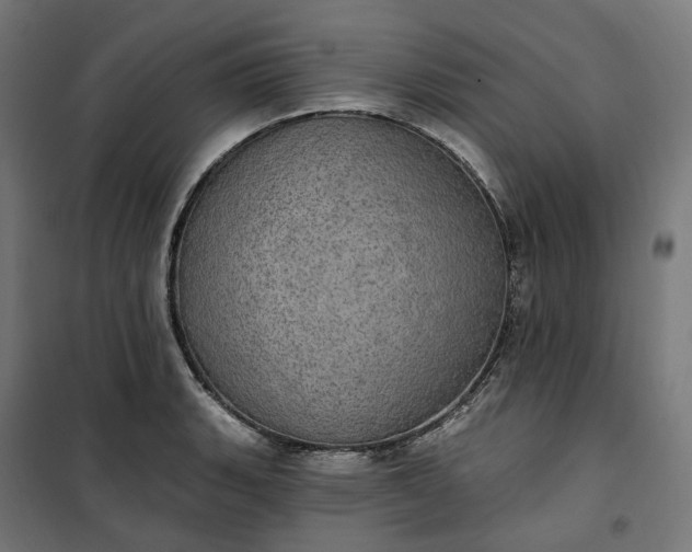 X0000100501135200806201709