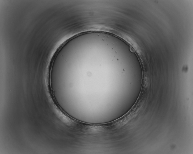 X0000100501136200806201709