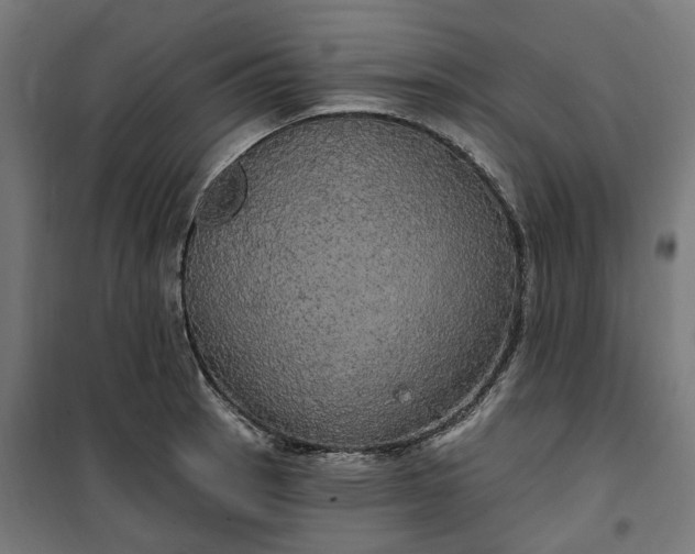 X0000100501137200806201709