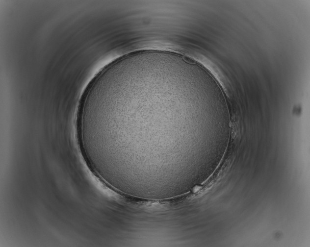 X0000100501139200806201709