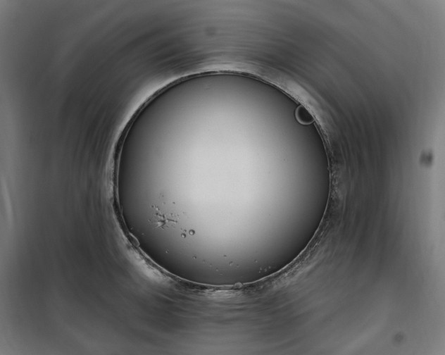 X0000100501140200806201709