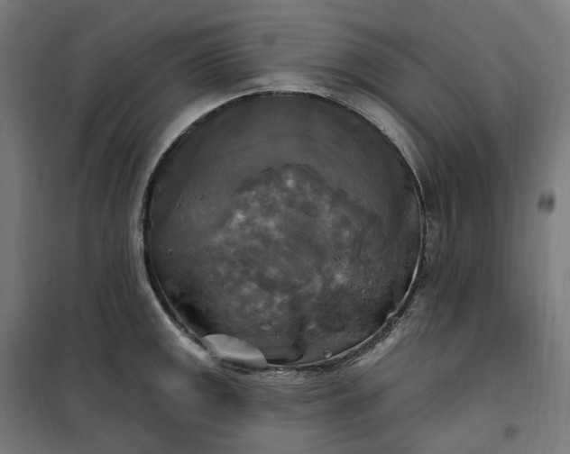 X0000100501141200806201709