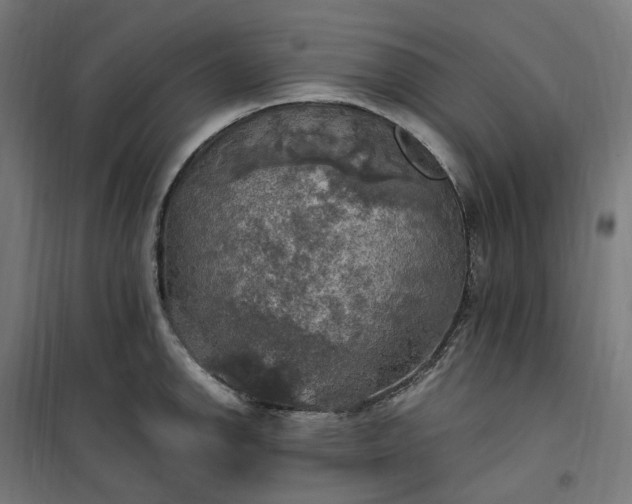 X0000100501142200806201709