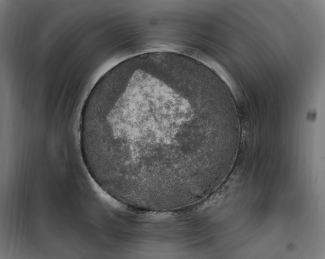 X0000100501143200806201709