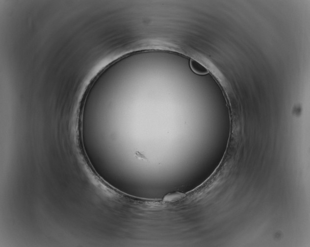 X0000100501144200806201709