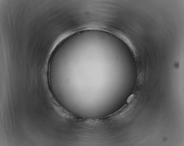 X0000100501146200806201709