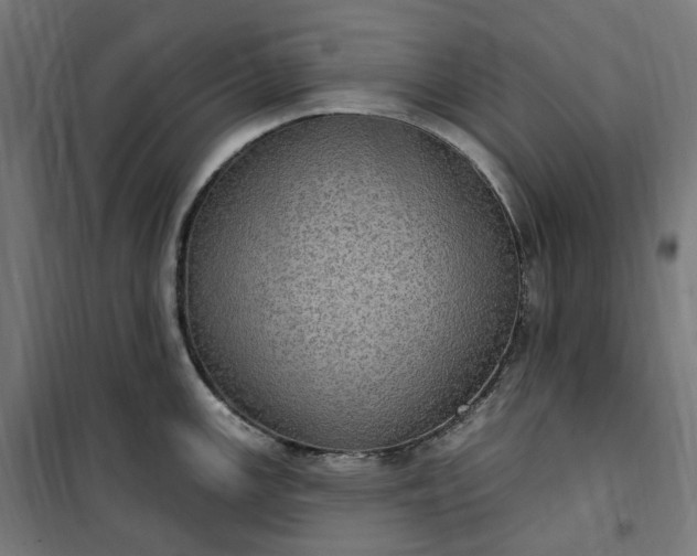 X0000100501147200806201709