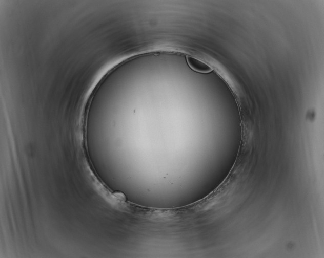 X0000100501148200806201709