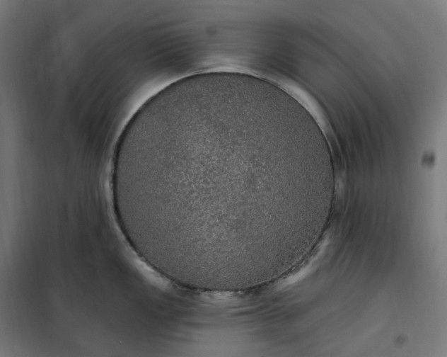 X0000100501149200806201709