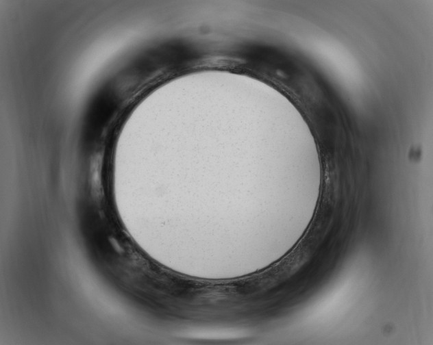 X0000100501150200806201709