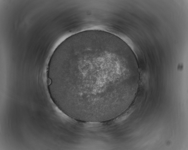 X0000100501151200806201709