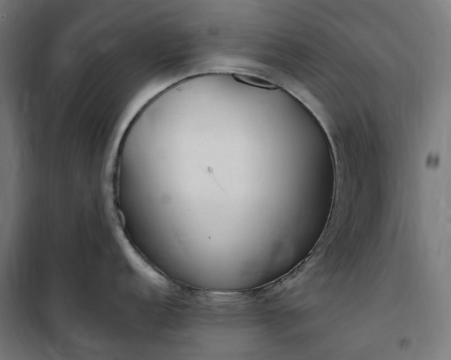 X0000100501152200806201709