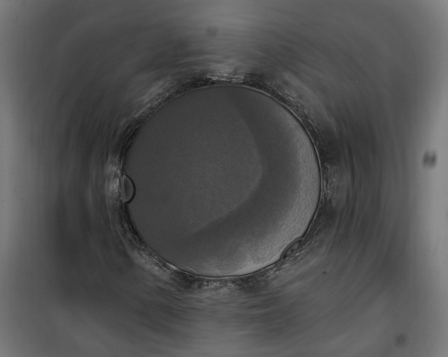 X0000100501154200806201708