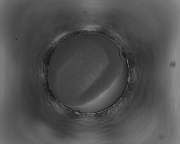 X0000100501158200806201708