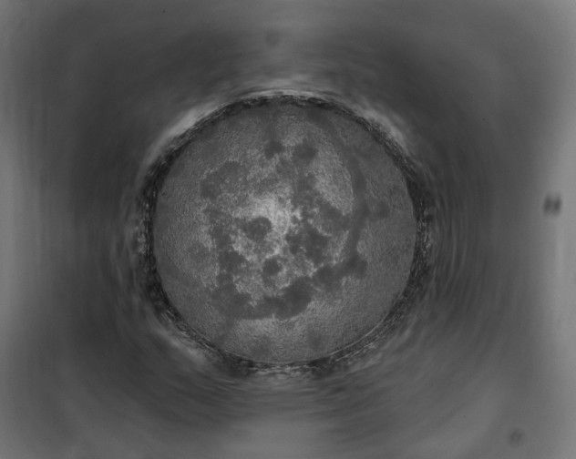 X0000100501159200806201708