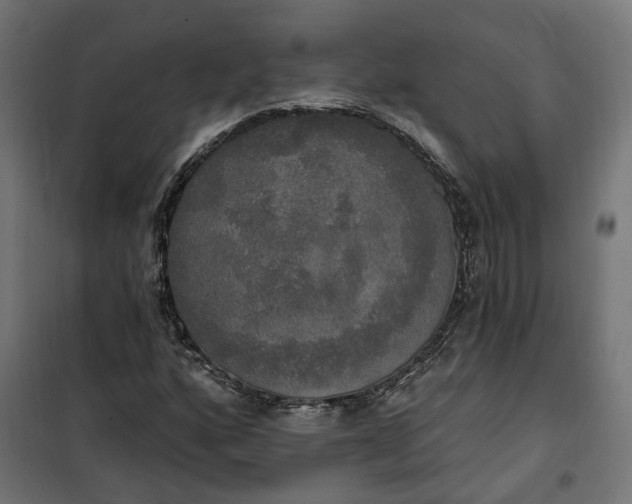 X0000100501160200806201708