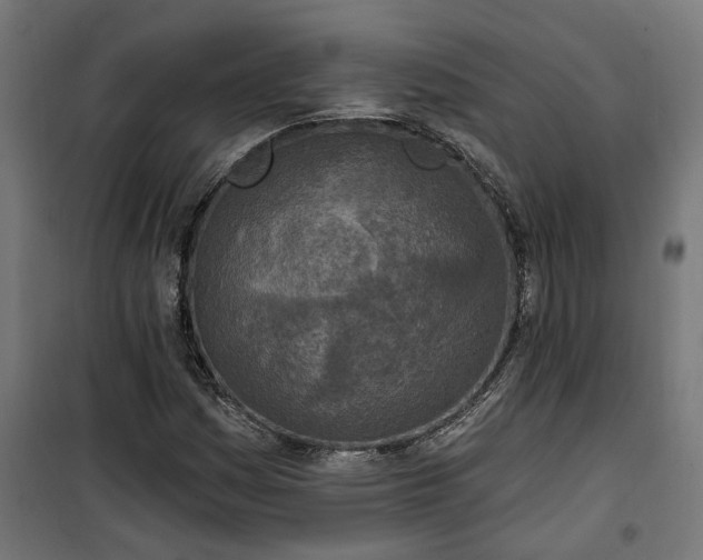 X0000100501161200806201708