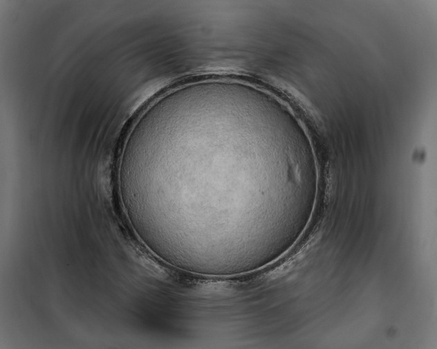 X0000100501162200806201708