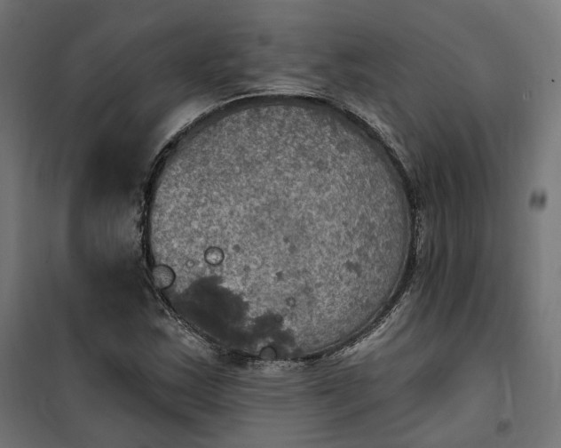 X0000100501163200806201708