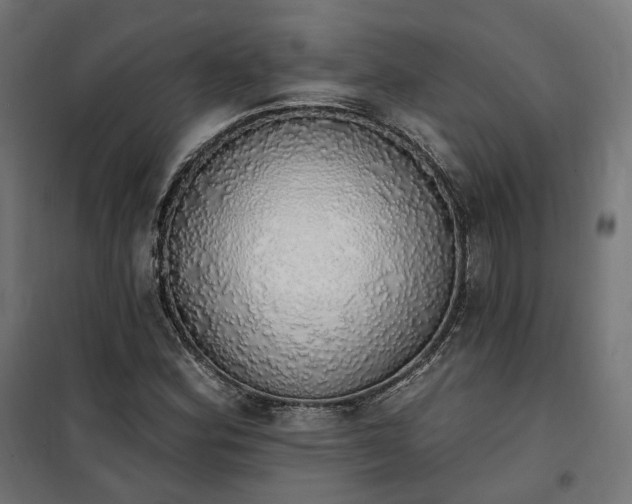 X0000100501164200806201708