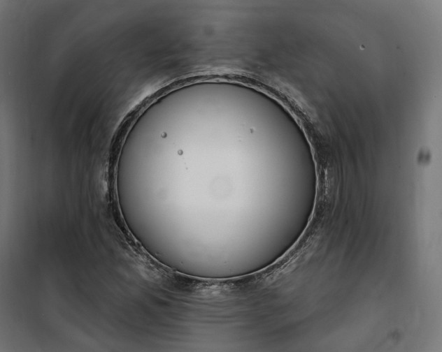 X0000100501165200806201708