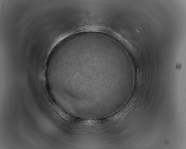 X0000100501166200806201708