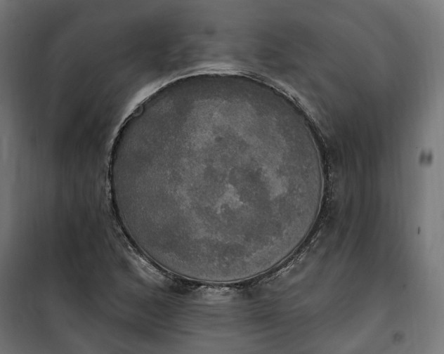 X0000100501168200806201708