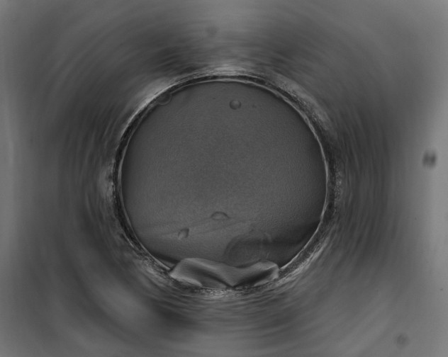 X0000100501170200806201708