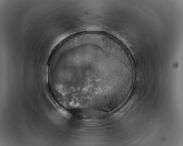 X0000100501171200806201708