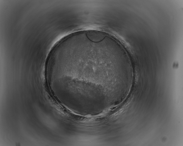 X0000100501174200806201708