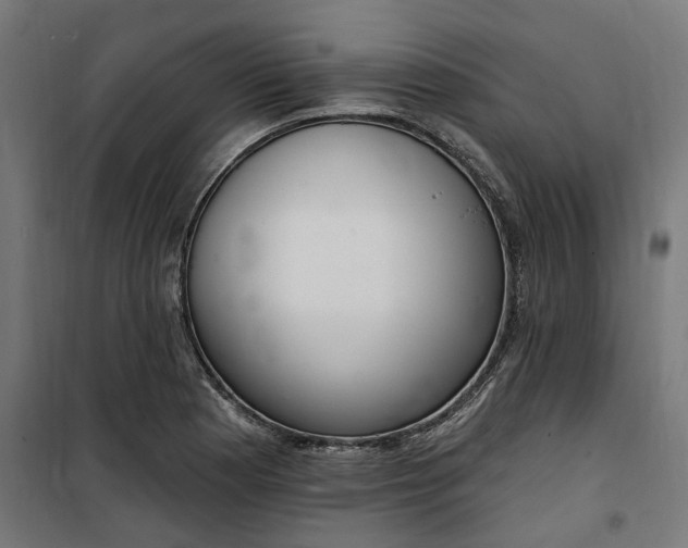 X0000100501177200806201708