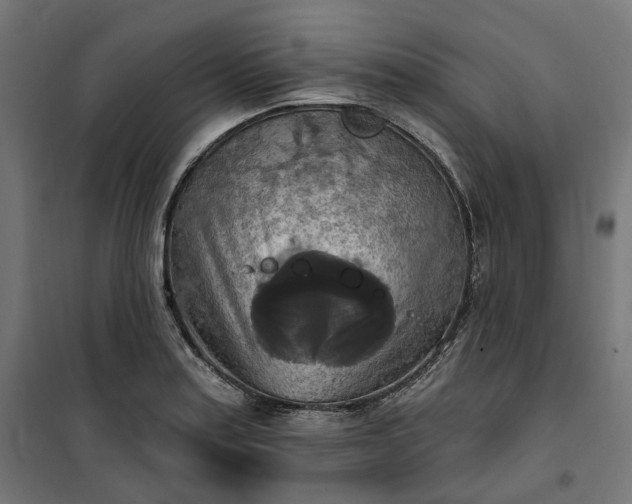 X0000100501179200806201708