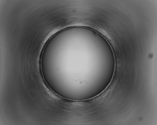 X0000100501181200806201708