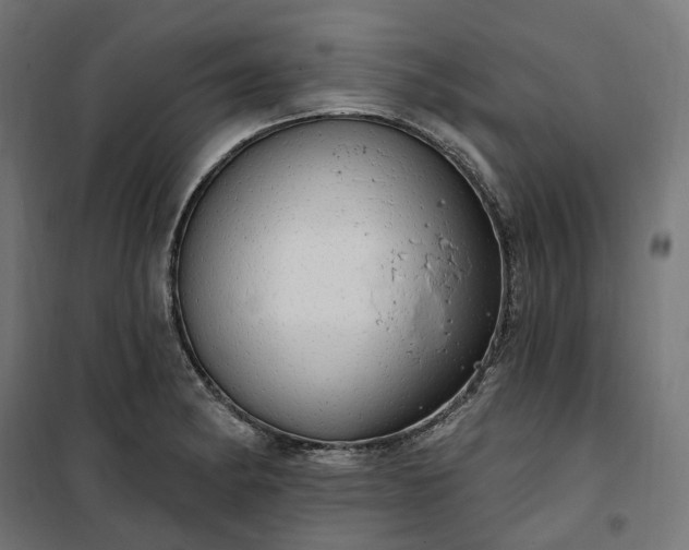 X0000100501182200806201708