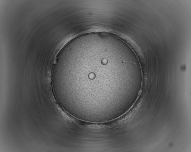 X0000100501185200806201708