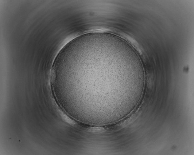 X0000100501186200806201708