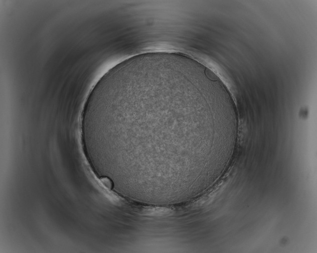 X0000100501187200806201708