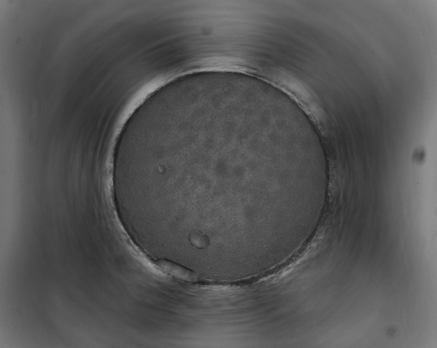 X0000100501188200806201708