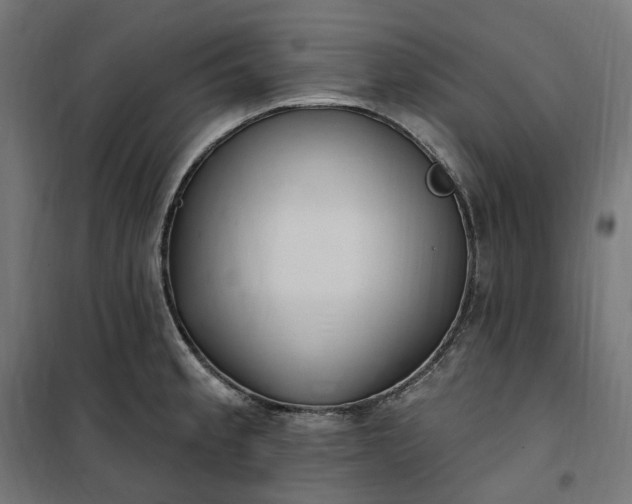 X0000100501189200806201708