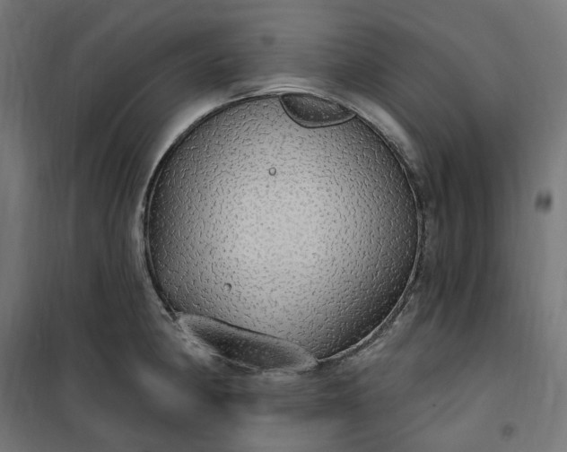 X0000100501190200806201708