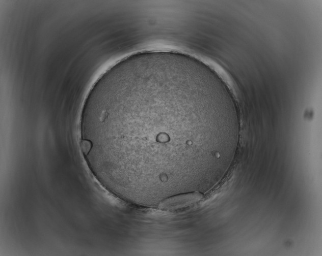 X0000100501191200806201708